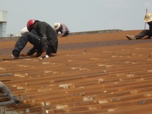 Dịch vụ lợp lại mái tôn quận Thủ Đức