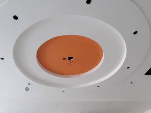 Sữa chữa đường ống nước tại quận thủ đức